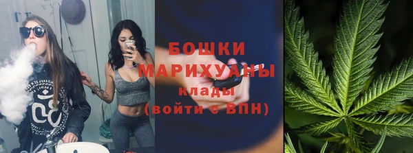 крисы Аркадак