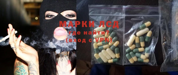 крисы Аркадак