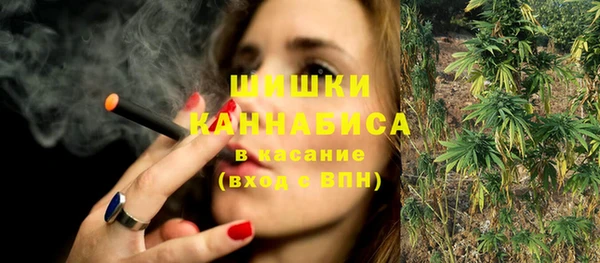 крисы Аркадак