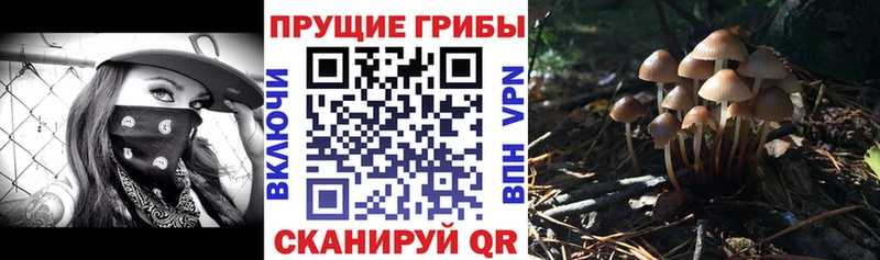 Галлюциногенные грибы Psilocybe  Сосногорск 